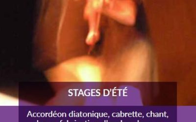 ESTAGIS d’estiu !